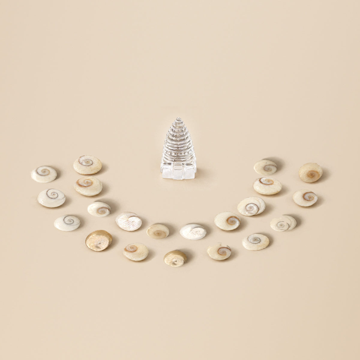 Sri Yantra Abundance Altar Set: 1.5 inch clear crystal quartz Sri Yantra with 21 Gomti Chakra shells, shown at true size to each other