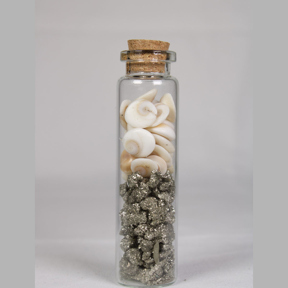 Crystal intention jar for Abundance: Gomti Chakra shells and pyrite